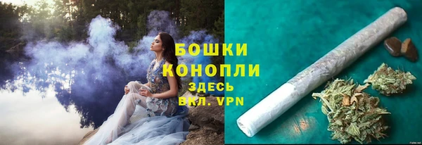 2c-b Вяземский
